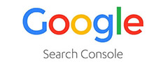 Google Search